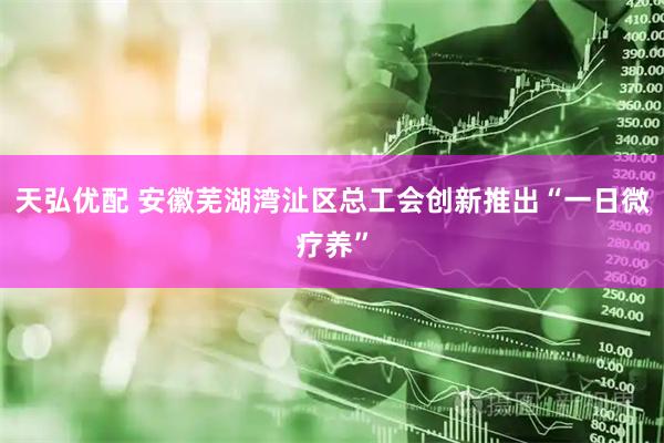 天弘优配 安徽芜湖湾沚区总工会创新推出“一日微疗养”
