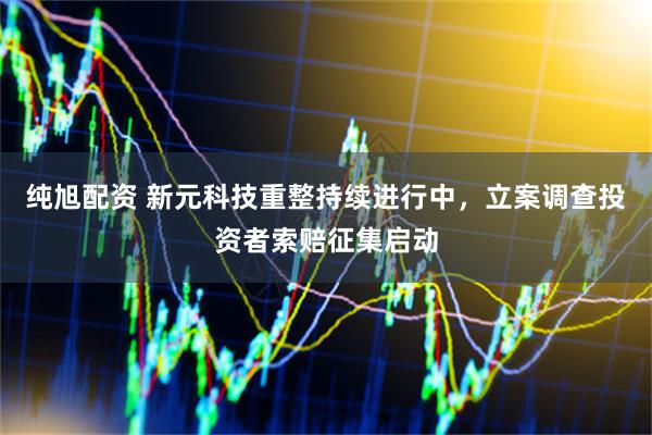纯旭配资 新元科技重整持续进行中，立案调查投资者索赔征集启动