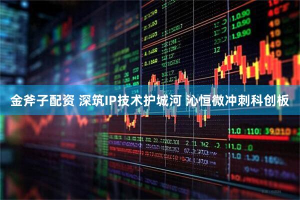 金斧子配资 深筑IP技术护城河 沁恒微冲刺科创板