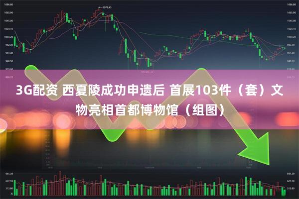 3G配资 西夏陵成功申遗后 首展103件（套）文物亮相首都博物馆（组图）