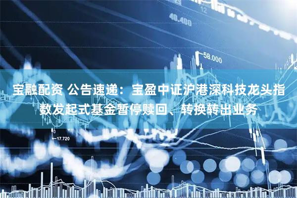 宝融配资 公告速递：宝盈中证沪港深科技龙头指数发起式基金暂停赎回、转换转出业务