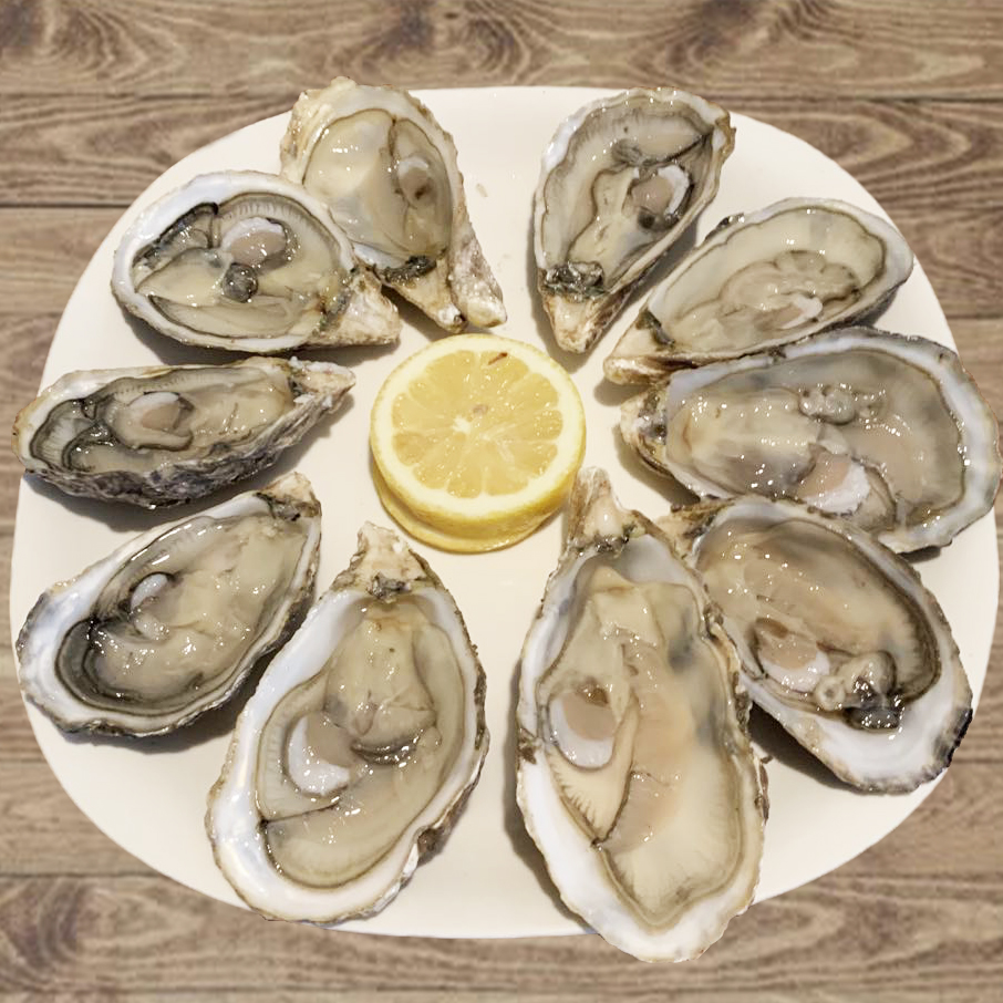 oyster_08_2